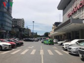 Cài cắm xuất xứ, nhãn hiệu của hàng hóa trong đấu thầu