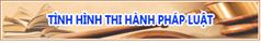 Tình hình thi hành pháp luật
